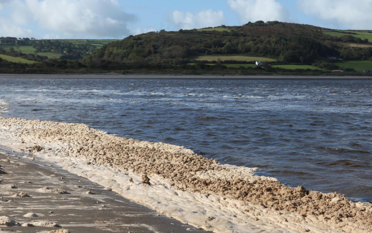 Pollution washes up along the River Teifi in Wales, home to Europe's largest population of dolphins