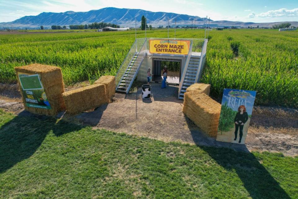 The Reba-themed corn mazes will have games, music and plenty of photo opportunities.