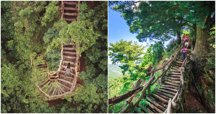 <p>The Dakeng Trails is a perfect way for you to get lost in the woods and relax during this short weekend. (Photo courtesy of Taipei Walker)</p>
