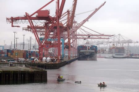 A crew tows the carcass of a dead gray whale in Elliot Bay, after it was discovered under the Colman Ferry dock in Seattle, Washington, January 22, 2015. REUTERS/Matt Mills McKnight