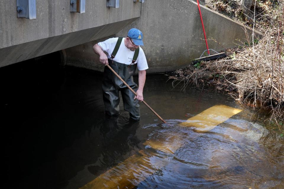 Paul Earnshaw of the Buckeye Brook Coalition wades in Buckeye Brook in Warwick, clearing off a pair of white boards that volunteers use as a backdrop to more easily count herring on their way upstream to spawn.