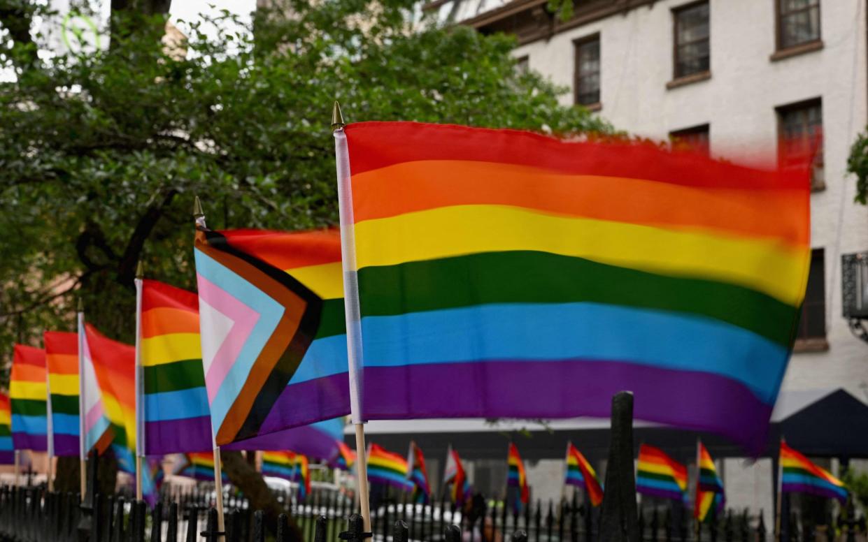 LGBT flags - Angela Weiss/AFP