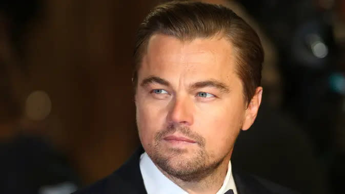 Leonardo DiCaprio (AFP PHOTO / JUSTIN TALLIS )