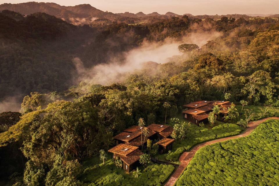 Aerial view of One&amp;Only Nyungwe House