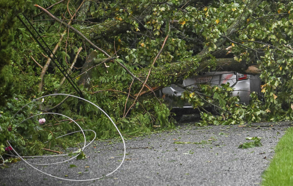 A car is covered by a fallen tree in Dale Rogoff Greer's driveway after several trees fell, taking out the power lines and her daughter's car along Gittings Avenue in Towson, Md., Monday, Aug. 7, 2023. evening. (Jerry Jackson/The Baltimore Sun via AP)