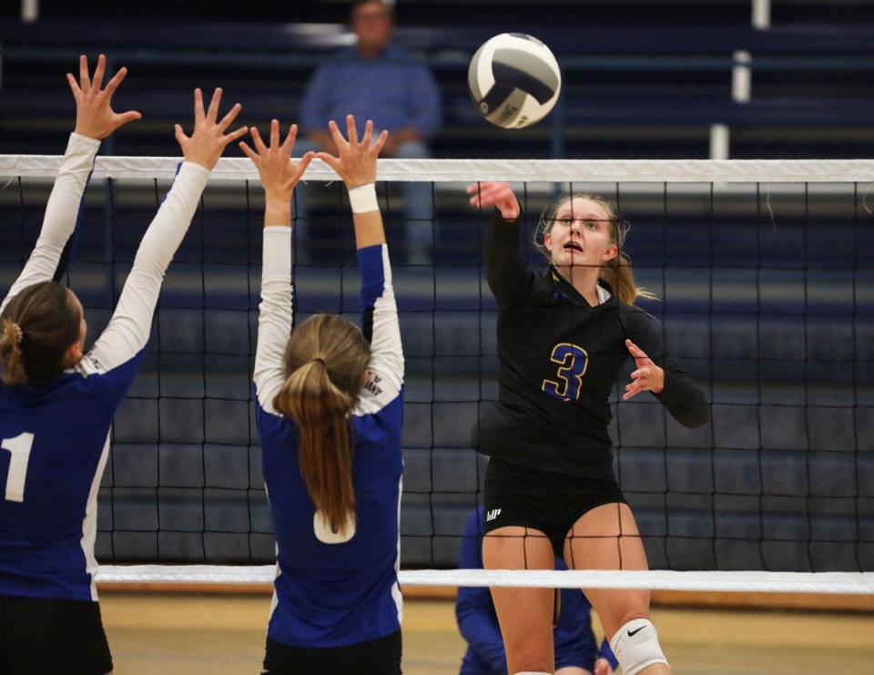 Wapello's Emily Hemphill spikes the ball Thursday against Danville.