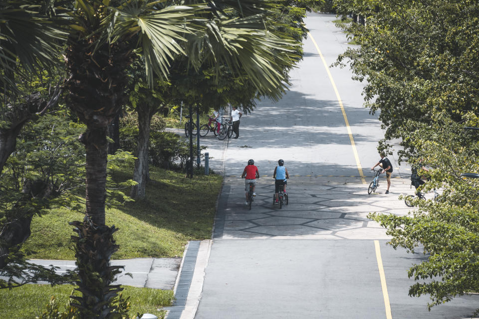 People bicycle on a road surrounded by tropical rainforest in Singapore. Seen a sunny day.