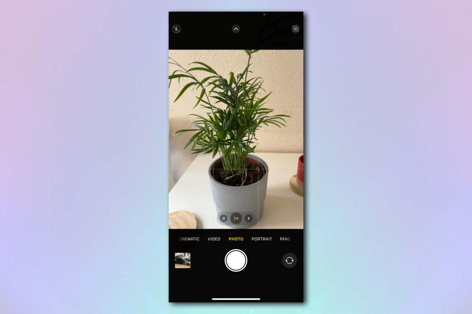 A screenshot of an iPhone camera screen: In frame is a plant in a plant pot, on top of a white kitchen table