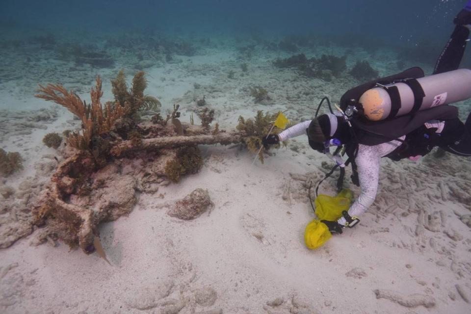 El grupo de investigaciones Diving with a Purpose, una organización no lucrativa ayudó a resolver el misterio.