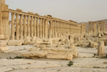 Columns are seen in the historical city of Palmyra, Syria, June 12, 2009. REUTERS/Gustau Nacarino