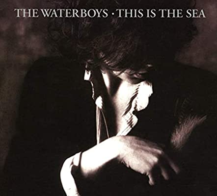the-waterboys-this-is-the-sea-1607222884