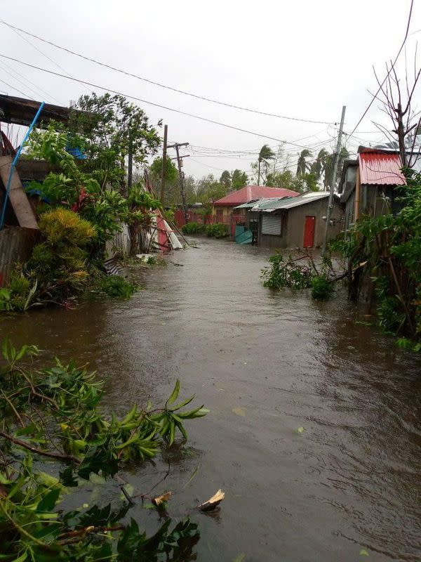 Aftermath of Typhoon Goni in Albay Province