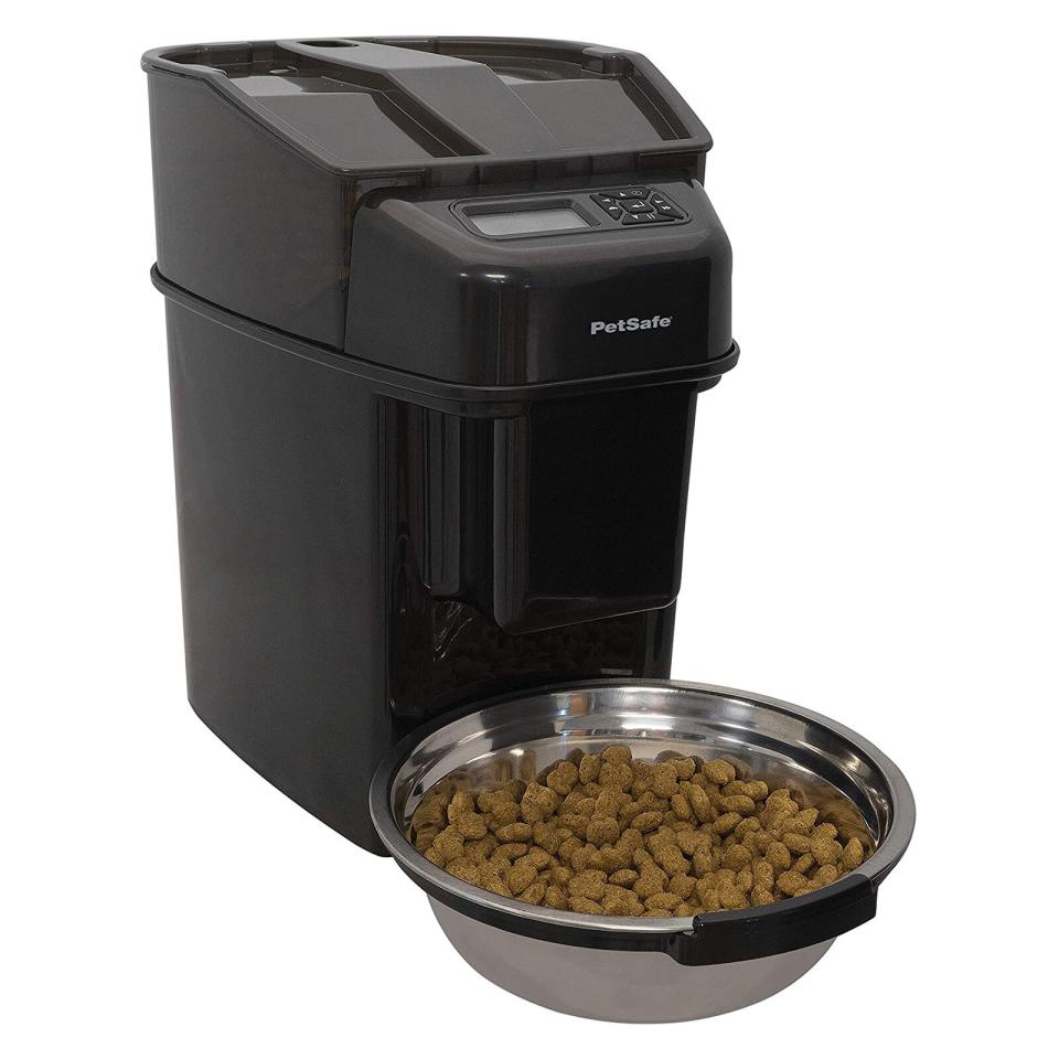 PetSafe Automatic Dog and Cat Feeder