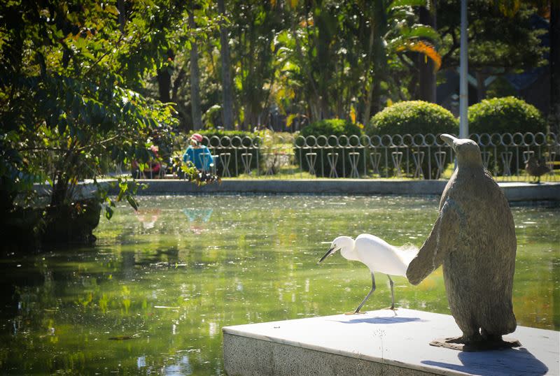 台北二二八和平公園內動植物生態豐富（圖／台北市工務局提供）