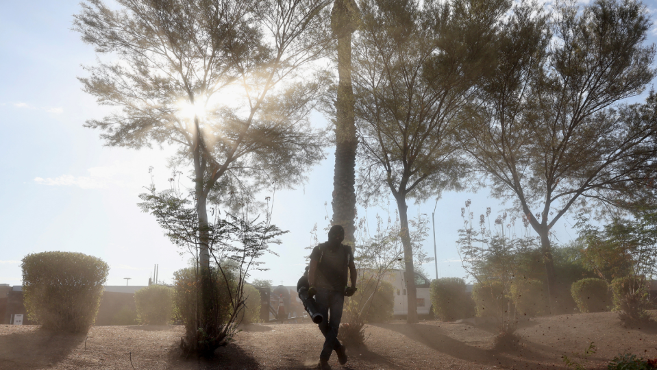 The sun shines through trees as a man seeks shade from heat in Phoenix