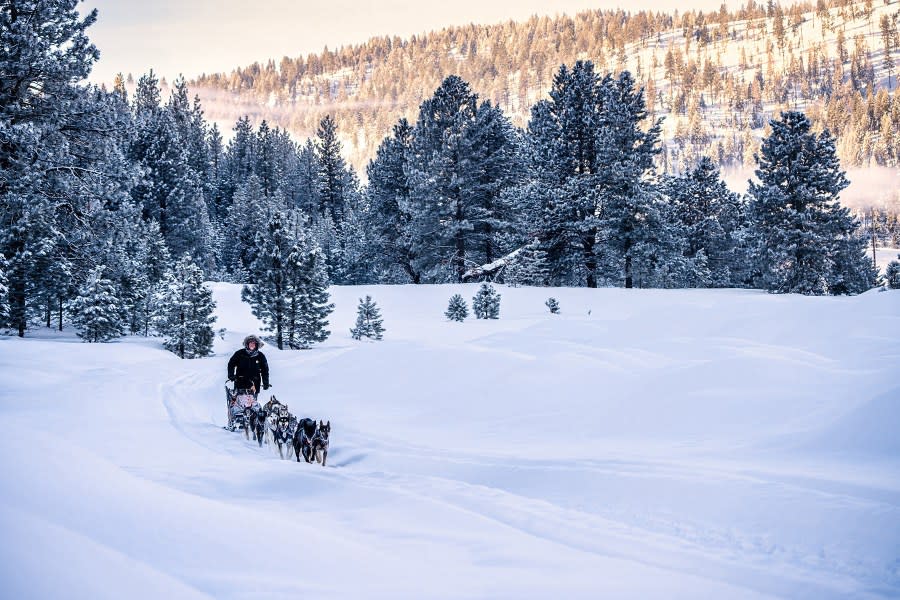 Courtesy Idaho Sled Dog Challenge