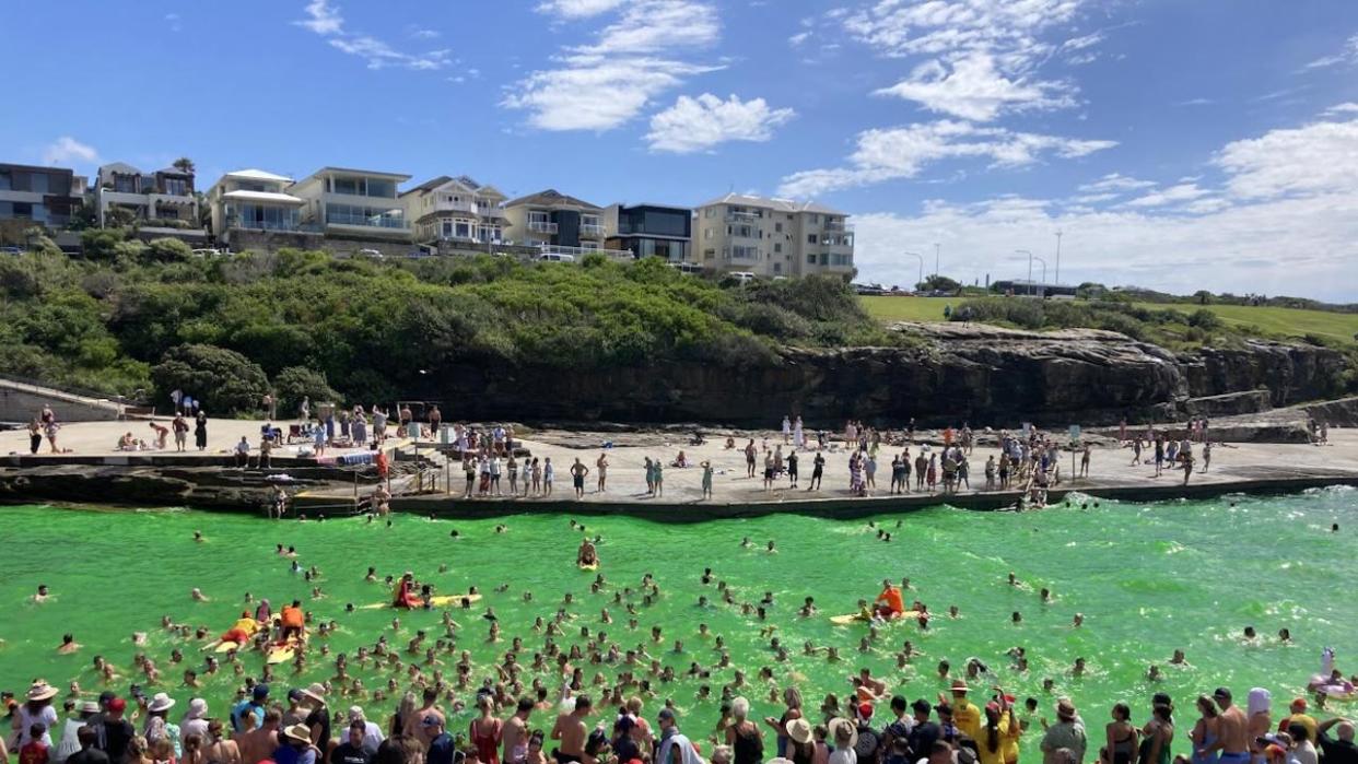 Clovelly Bay was turned green for Christmas Day. Picture: Supplied