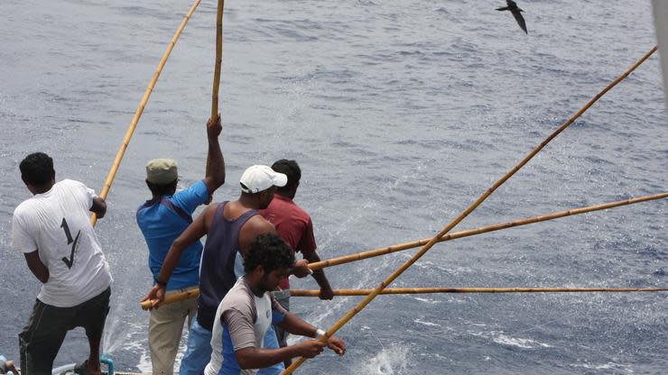 Zwei Freunde gründen ein Unternehmen und importieren russischen Fisch. Bald drohen sie gegen die übermächtige Konkurrenz zu verlieren. Doch statt sich dem Markt zu beugen, verändern sie dessen Regeln.