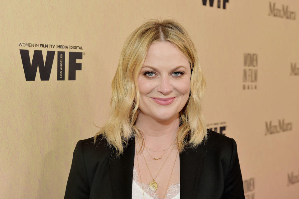 Amy Poehler on the red carpet