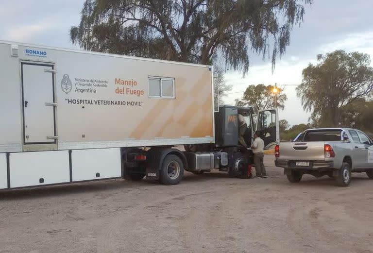 A la zona donde se ahogaron varios osos hormigueros llegó esta tarde un camión del Ministerio de Ambiente y Desarrollo Sostenible para colaborar en el salvataje de animales