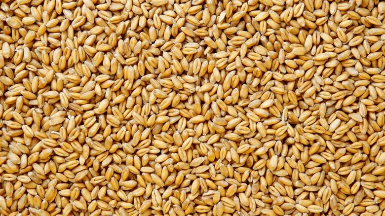 Wheat berries