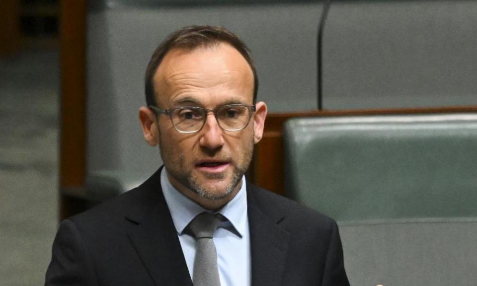 Greens leader Adam Bandt.