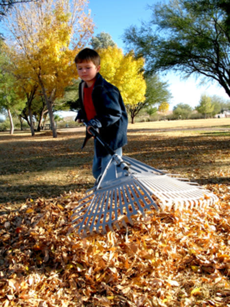 Chores