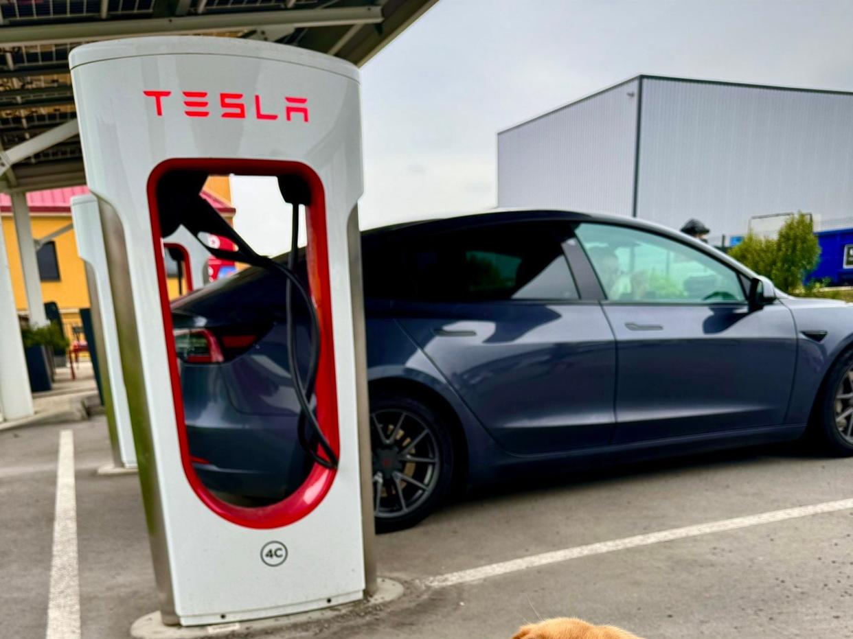 Dog Honeycomb and the Tesla Model X charging at a Tesla Supercharger in Le Mans, France