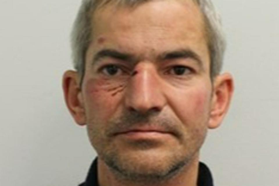 Murder victim Ion Radu (Met Police )