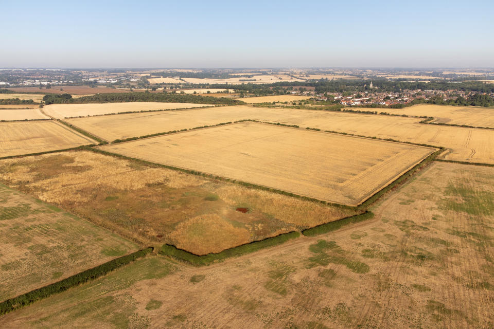 Parched fields