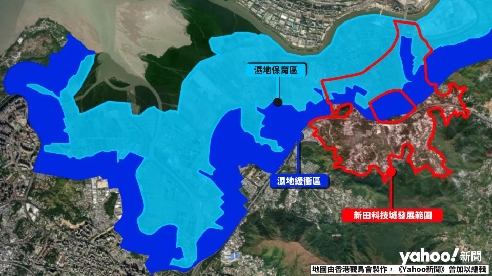 香港濕地保育區及緩衝區界線，當中新田科技城發展有151公頃座落於濕地保育區、97公頃於濕地緩衝區的範圍。（香港觀鳥會製圖）
