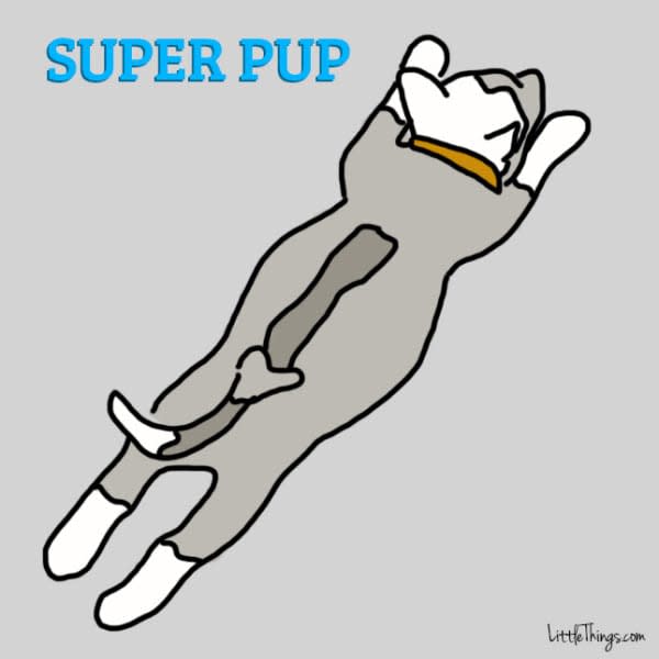 6 sleeping positions