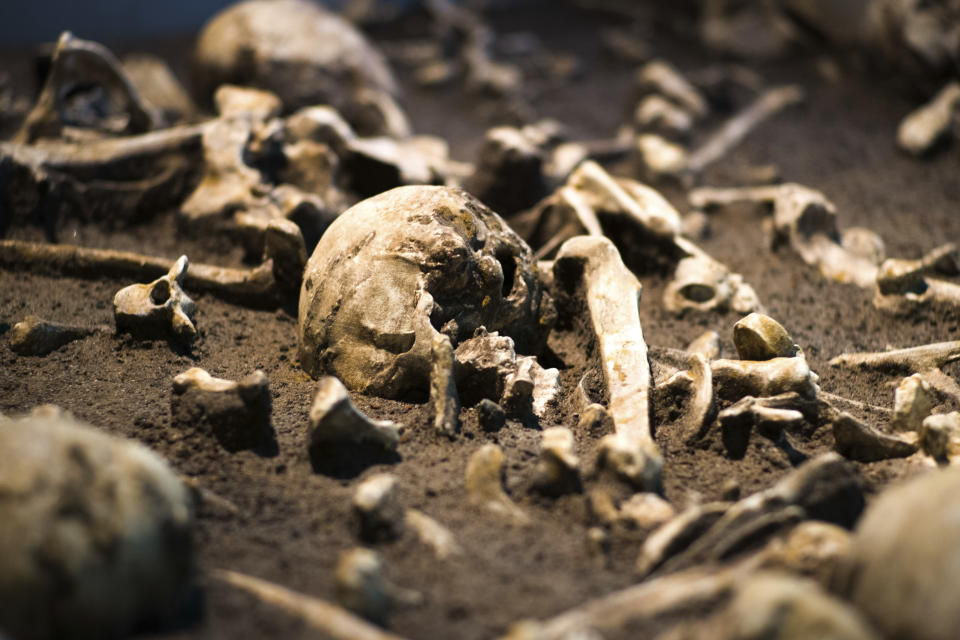 The Sept. 20, 2018 photo shows human skulls and bones of the battle of Tollensetal about 1250 BC. displayed at an archeological exhibition at the Martin-Gropius-Bau museum in Berlin. The new exhibition showcasing more than 1,000 major archaeological finds from the past 20 years shows reveals how Germany has been at the heart of European trade, migration, conflict and innovation since the Stone Age. The exhibition runs from Sept. 21, 2018 until Jan. 6, 2019. (AP Photo/Markus Schreiber)