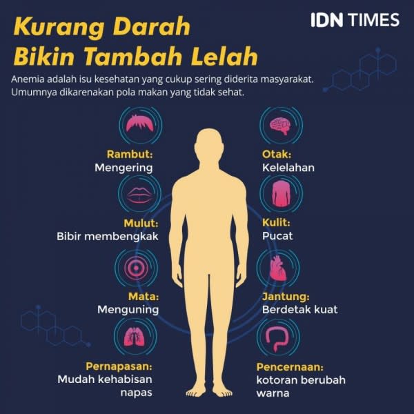 Apa saja gejala gejala anemia