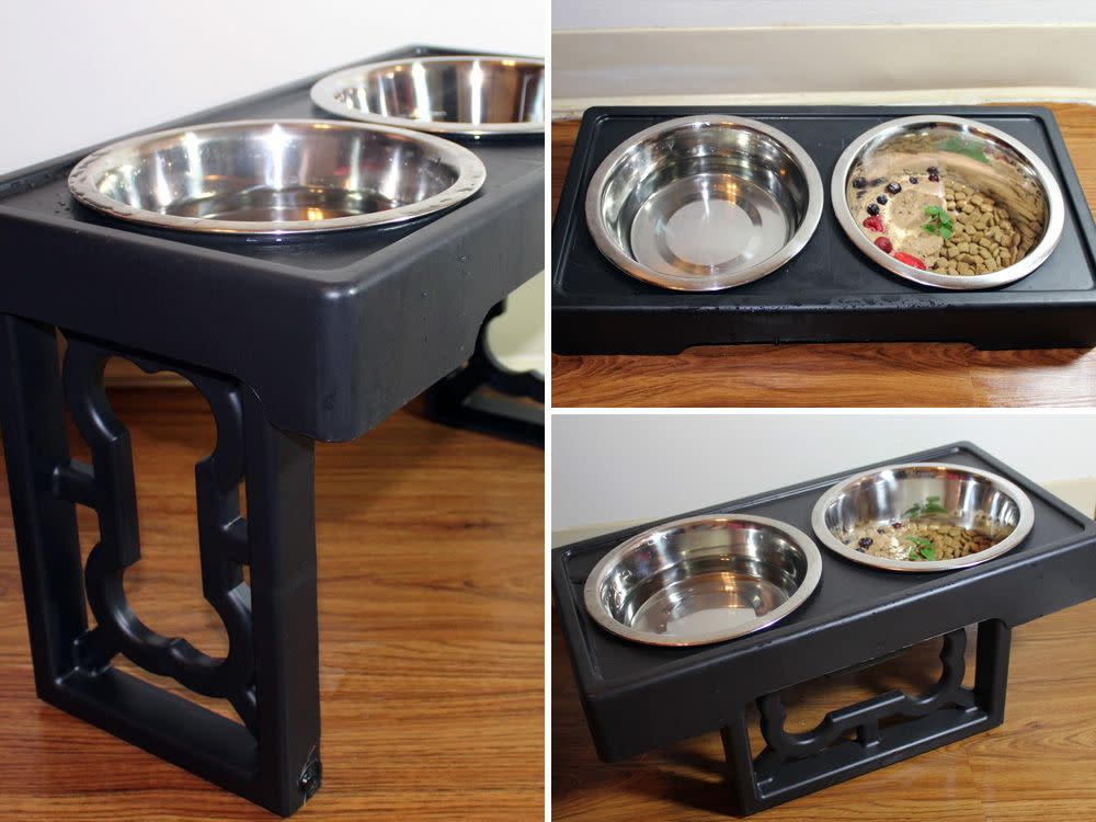 best dog bowls