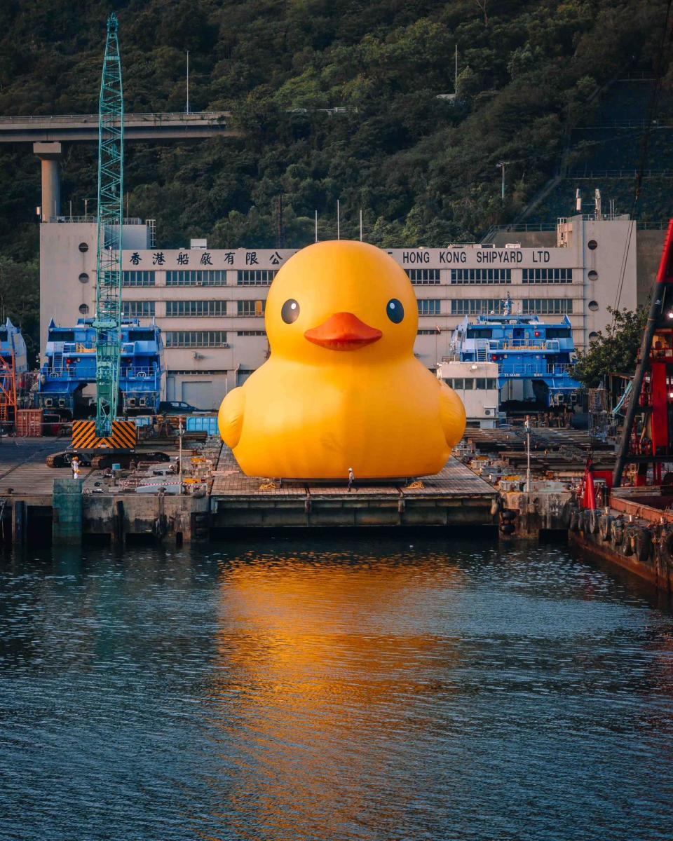 巨型橡皮鴨上周四（25日）突然現身香港，今次更成雙成對出現在青衣海域，引起哄動。（官方圖片）