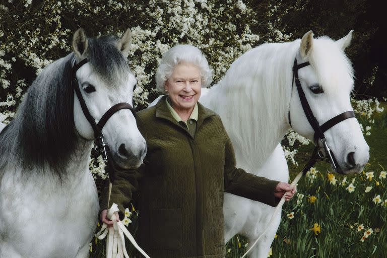 La Reina Isabel II con sus ponis de la raza Highlands