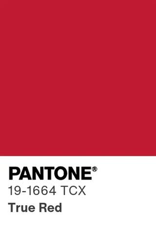 <p>Pantone</p> Pantone Color of the Year