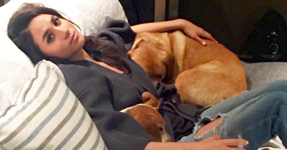 How Meghan Markle and Prince Harry's Two Dogs Are Adjusting to Life in Canada