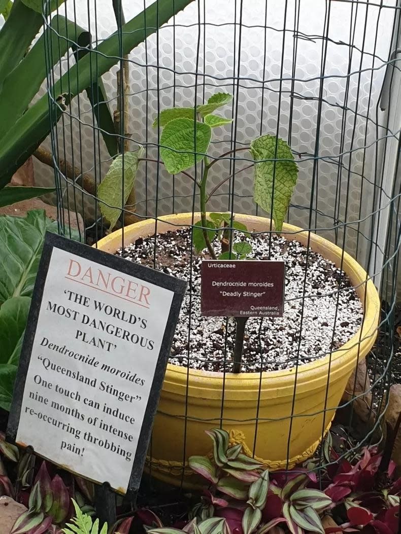 danger sign by the plant