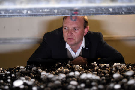 Leslie Codd, owner of Codd Mushrooms poses for a picture on his mushroom farm in Tullow, Ireland October 9, 2016. REUTERS/Clodagh Kilcoyne