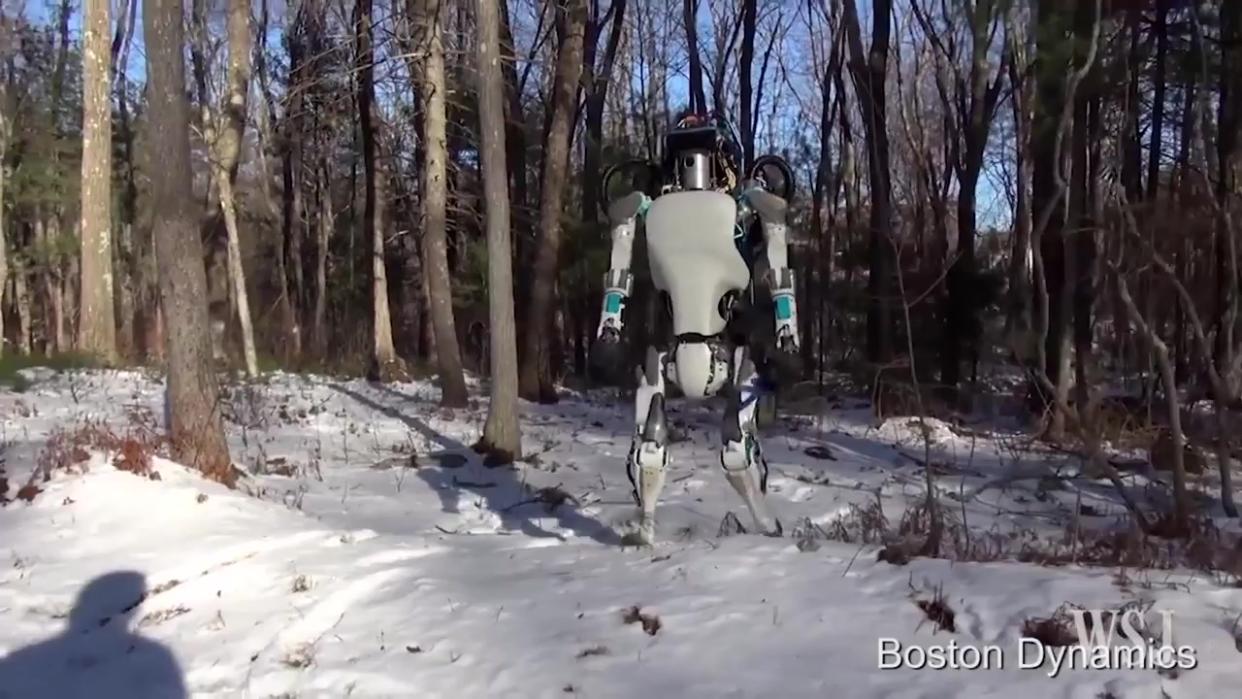 Atlas the Humanoid Robot in Action