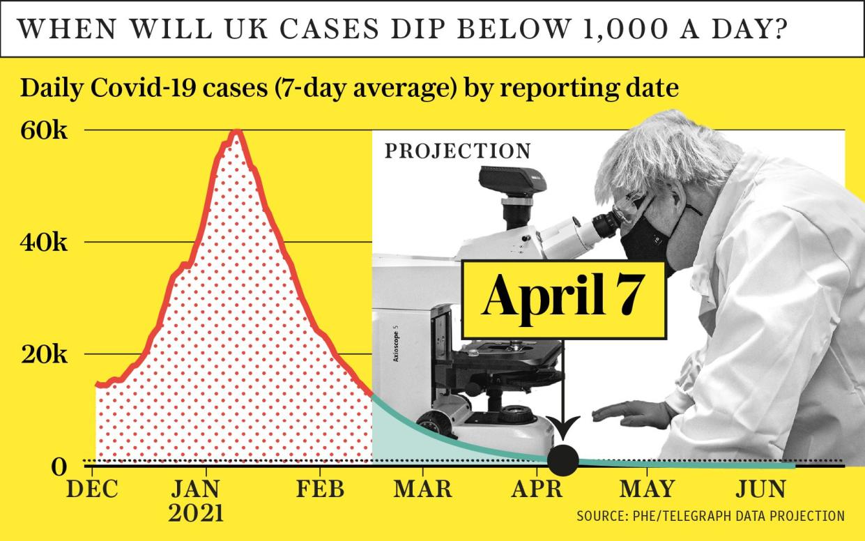 Covid case numbers