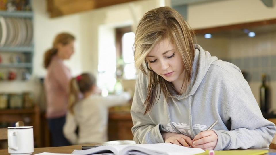 Student revising at home