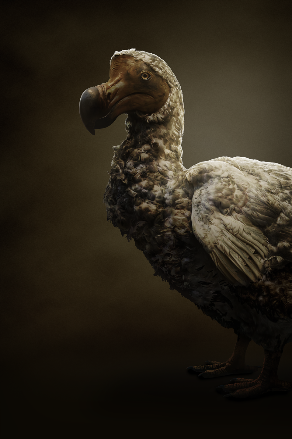 Rendering of a dodo bird