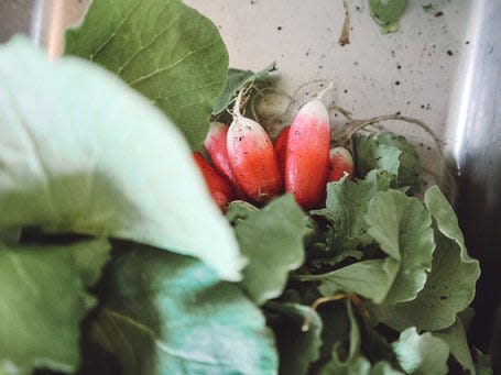 radishes food produce michigan groceries