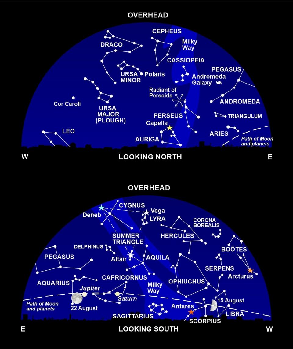 The night sky at around 11pm all this month (Nigel Henbest)