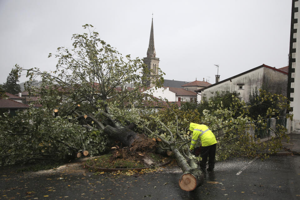 A man saws a tree that fell on a parking lot Thursday, Nov. 2, 2023 in Hasparren, southwestern France. Winds up to 180 kilometers per hour (108 mph) slammed the French Atlantic coast overnight along with violent rains and huge waves, as Storm Ciaran uprooted trees, blew out windows and left 1.2 million households without electricity. (AP Photo/Bob Edme)