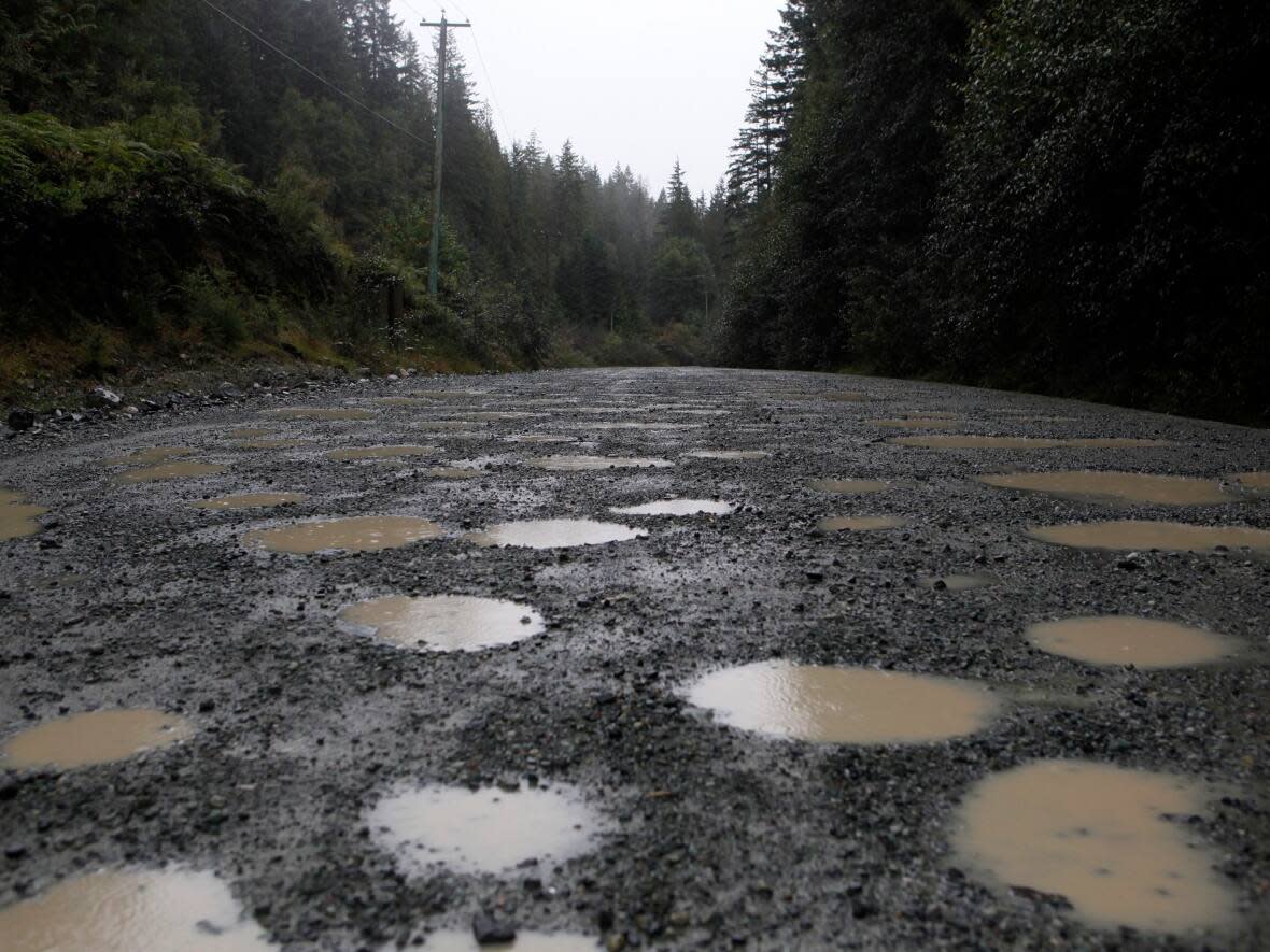 Potholes are pictured in 2019 along the road known as the Bamfield Main, which links Bamfield and Port Alberni, B.C. (Chad Hipolito/The Canadian Press - image credit)