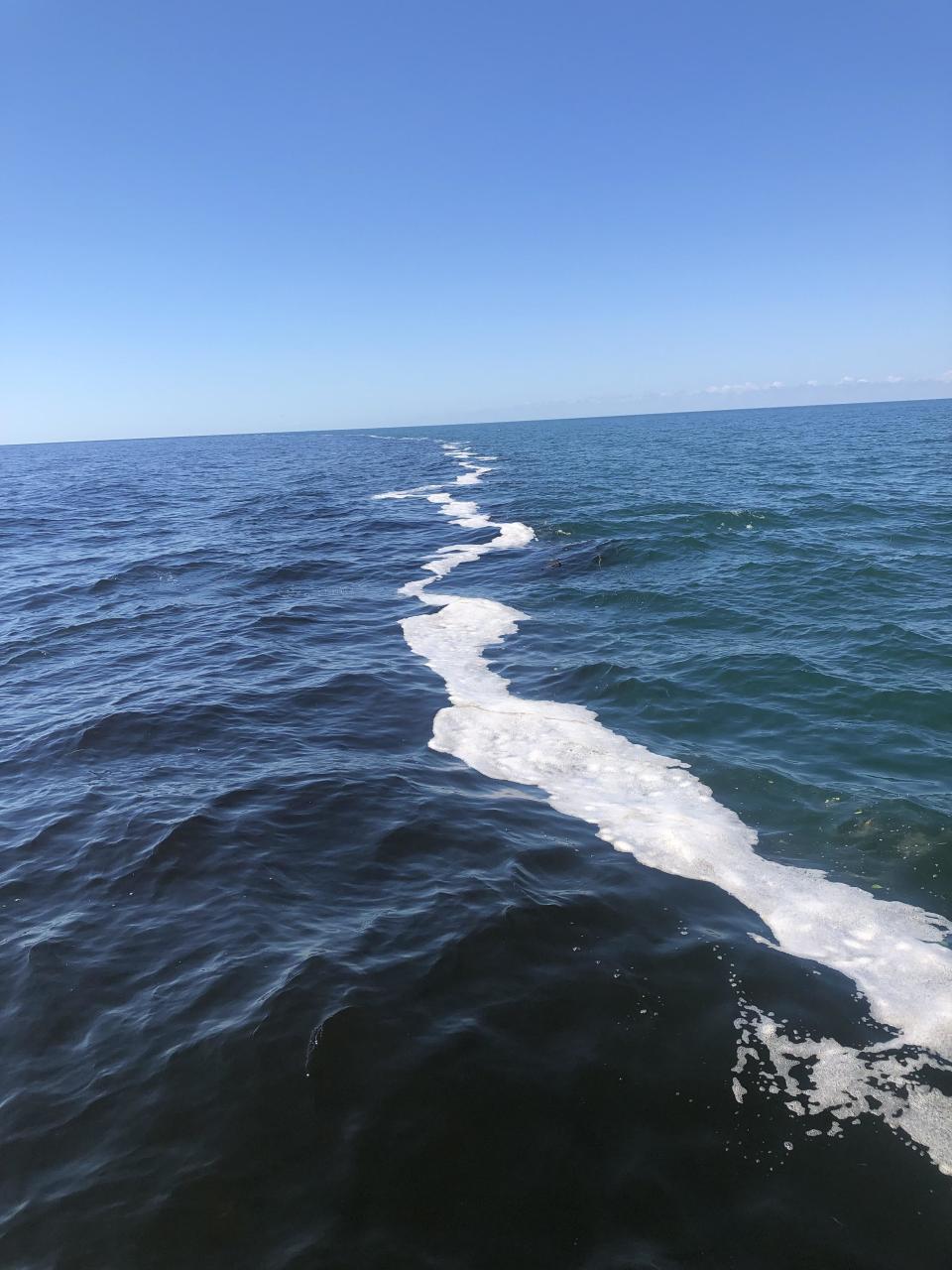 Tannins from decomposing plant matter (on the left) are seen flowing into the blue-green water of the Gulf of Mexico. This image was captured about 1.5 mile into the Gulf.  / Credit: Dave Tomasko